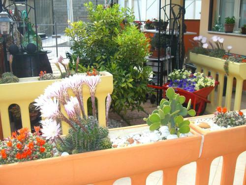 Bed & Breakfast Le Coccinelle Di Maria