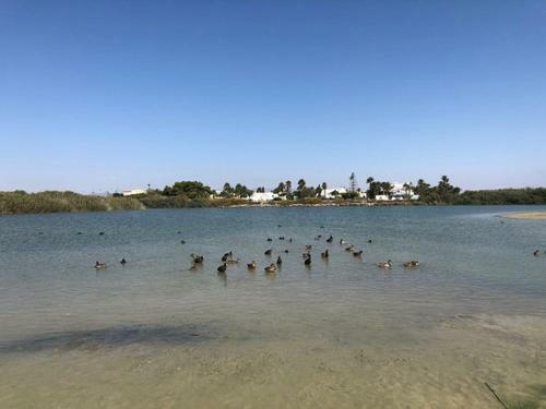 Vera, Apartamento Junto A La Playa