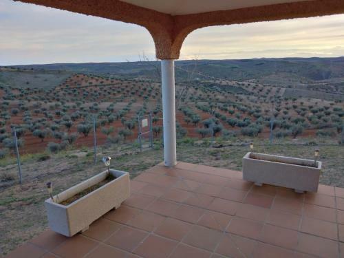 Finca Vista Olivo