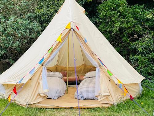 Betty?s Boutique Camping