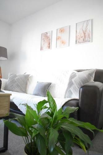 Apartamento Maya Boutique Inn