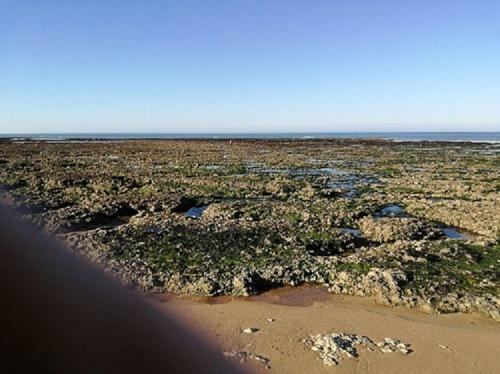 Maison N�4 7 Pers. 600m Plage