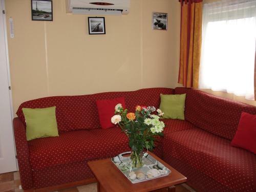 Mobil-home Climatis� La Cotini�re