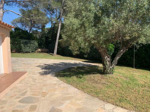 Villa Altea - La Croix Valmer