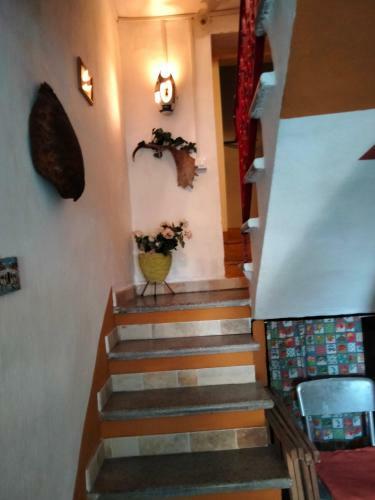 La Casa Di Ferdy
