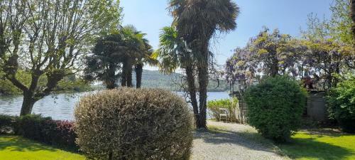 Apartamento Bnbook Villa Evelina