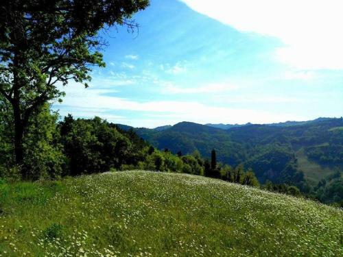 Appealing Apartment In Modigliana With Garden