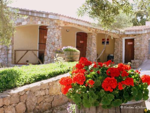 Apartamento Sa Dommu De Baumbereu