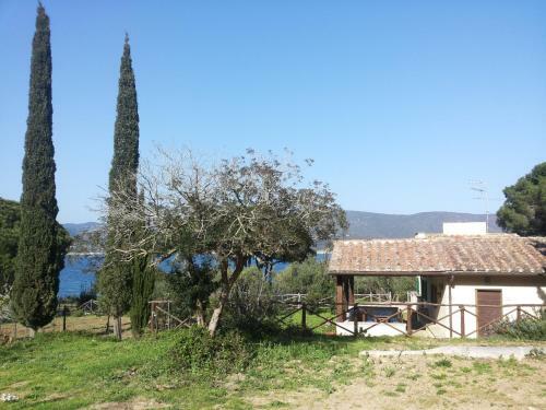 Apartamento Agriturismo Galenzana