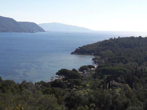 Apartamento Agriturismo Galenzana