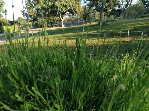 Charming 3-bed Cottage In Porto Corallo