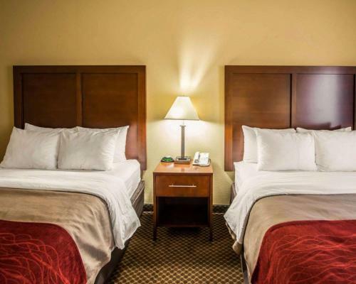 Hotel Comfort Inn & Suites