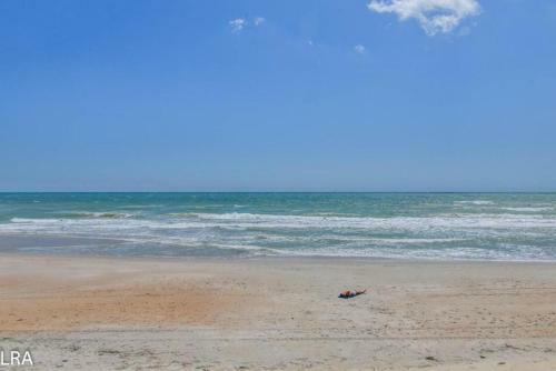 Fins To The Right