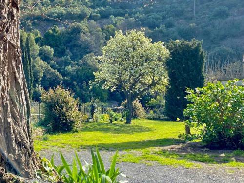 Lastours 4 Cathar Castles 3 Bed 3 Star Apartment Quertineux