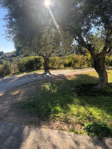 Apartamento Appartamento Naracu