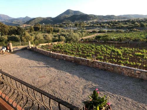 Villa Casa Vacanze Perdupili