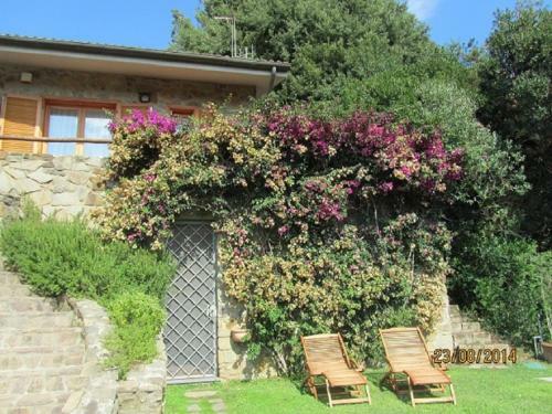 Villa Francesca- House In Punta Ala With Wonderful Sea View
