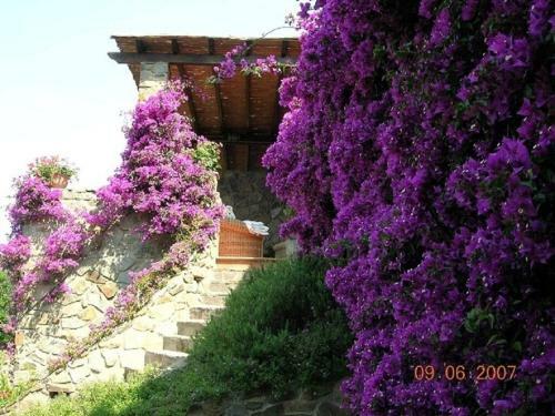 Villa Francesca- House In Punta Ala With Wonderful Sea View