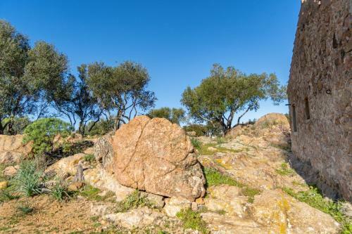 Apartamento Le Case Di Mara - Appartamenti Tipici "stazzo Giovannareddu"