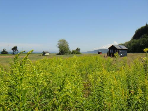 Domaine Floravie