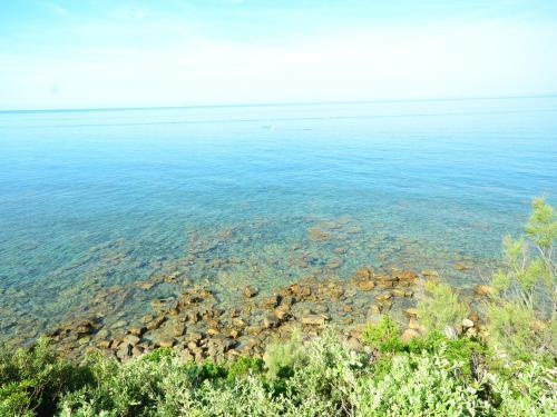 Holiday Home Il Pescatore Castiglioncello