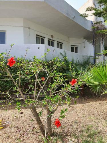 Apartamento Le Corti Di Capo Vaticano