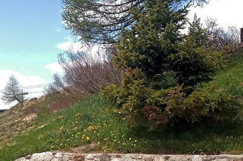 Apartamento Appartamento 21 Residence Adamello