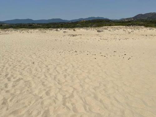 Villa Mimosa 300 Mt. Dal Mare 2 P.l.+2 Aggiuntivi