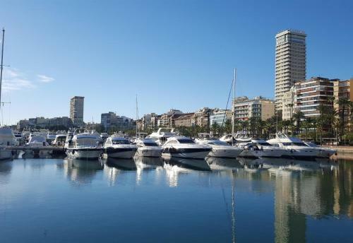 Nice Apartment In A Wonderful Area