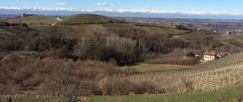Villa In The Langhe With Park, Pool Spa