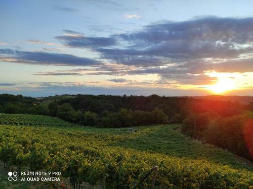 Apartamento Oasi Del Monferrato