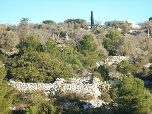Villa Thevillasalento - Families And Friends