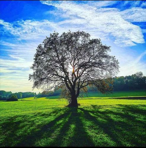 Apartamento Blick Punkt