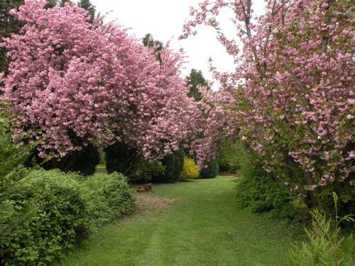 Bed & Breakfast Les Talvasi�res