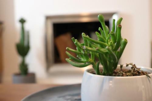 Apartamento Le Mans Hypercentre - Proche Place R�publique
