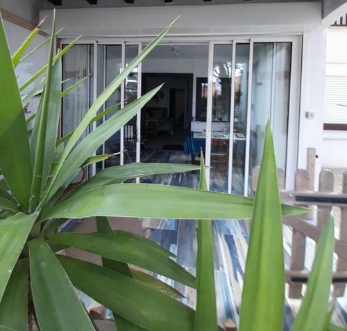 Apartamento Les Yuccas Au Grau Du Roi