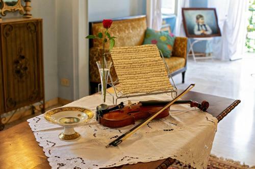 Il Gatto E Il Violino Appartamenti E Casa Per Vacanze