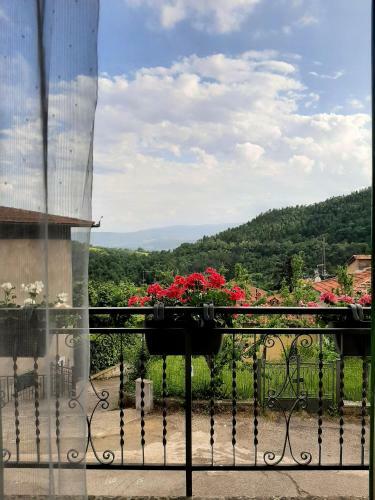 B&B Degli Allori