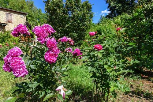 Apartamento La Casa Delle Rose