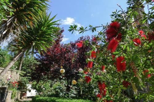 Apartamento La Casa Delle Rose