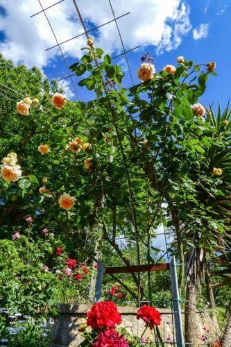 Apartamento La Casa Delle Rose
