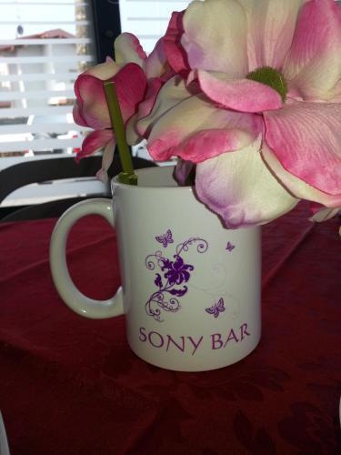 Bed & Breakfast Sony Affittacamere
