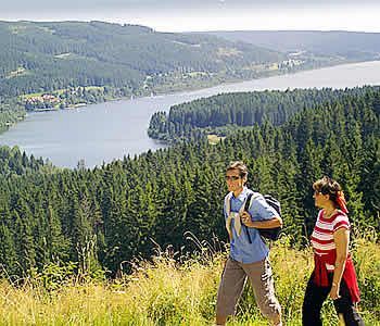 Auerhahn Wellnesshotel