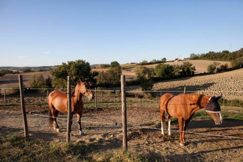 Agroturismo Casale Talevi