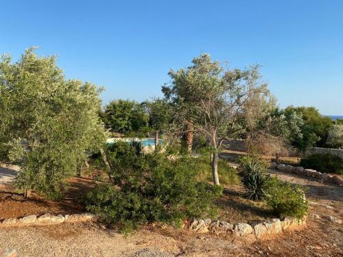 Residence Con Piscina