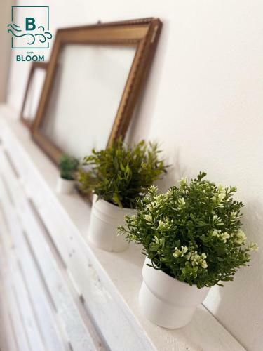 Apartamento Casa Bloom