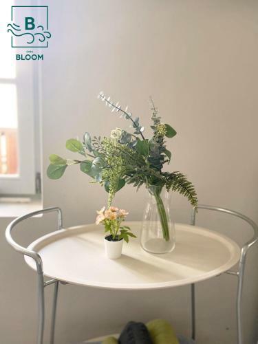 Apartamento Casa Bloom