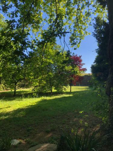 Villa Antonelli