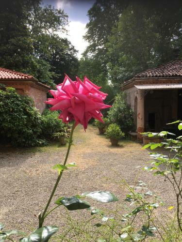 Villa Antonelli