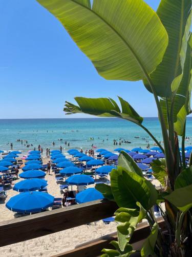 Apartamento La Torretta 2
